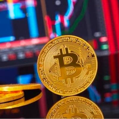 CryptoB90681's profile picture. 💯💯💯💯💯💯💯💯💯💯💯💯💯💯💯💯💯💯 FOLLOW BACK 💯💯💯💯💯💯 💯💯💯💯💯💯💯💯💯