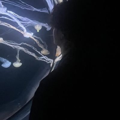 ramuparudoex's profile picture. 🚩@cod_L4v                                                                                                  
相棒@ABOKADONSABU┆@MASUMASUii┆