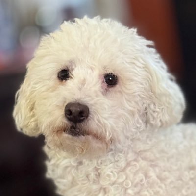 TripWire777's profile picture. “We should approach making life multiplanetary with a sense of urgency....” -Elon Musk