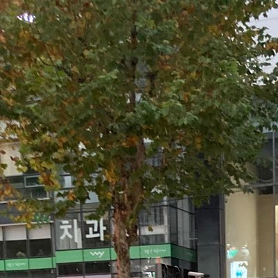 mgh30000ri's profile picture. 구독계