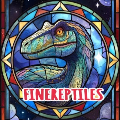 FReptiles's profile picture. おかげさまで今年8周年✨広島県広島市の爬虫類専門店ファインレプタイルズです。状態重視の販売を心掛けております。主に入荷情報を発信しております。価格はHPにどうぞ。動物取扱業広島市認可第210031号販売、第210032号保管、インボイス発行事業者  @FreptilesRON #よしだろん