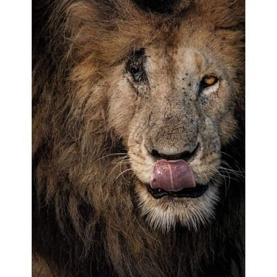 brahym73's profile picture. 