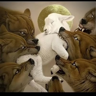 Maximilianuka's profile picture. Software Engineer|| Web developer || web designer || webhosting