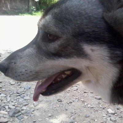 dhaemmiasco's profile picture. Sperm 💦 😎