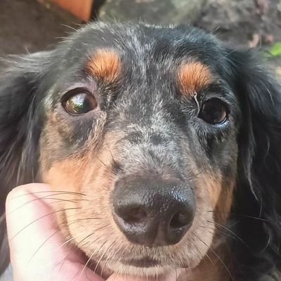 CymberJessX's profile picture. Hi i  am back tdon't forget to subscribe  at my youtube channel and my  tiktok at my channels