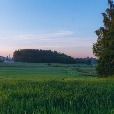 NaaraMestas's profile picture. #BodyShop #TaxConsultations #LipfillersandBotox  Call me for more information I would love to help you #9152361139