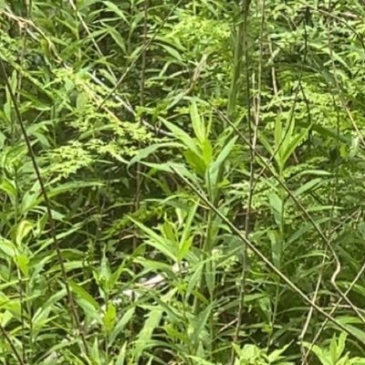 brittney_s87827's profile picture. A slut