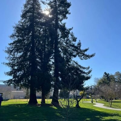 Max__dorman's profile picture. A common snake, which a man sees all alone, may become a python in his eyes. Never judge anything on one man's vision