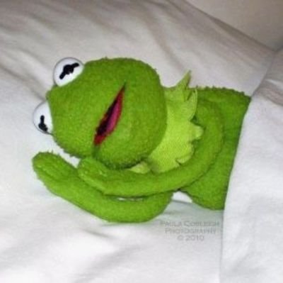 kimmm_lnn's profile picture. 