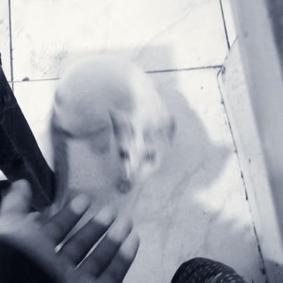 adril_faj_25's profile picture. 