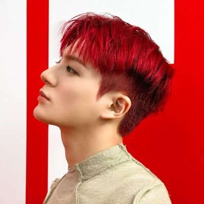 softfordonghyck's profile picture. 