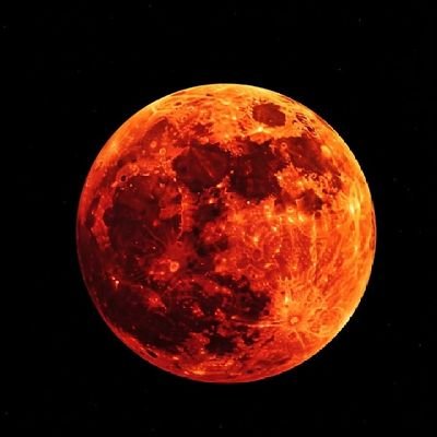 jh_aus21's profile picture. ⭐RIOJA⭐