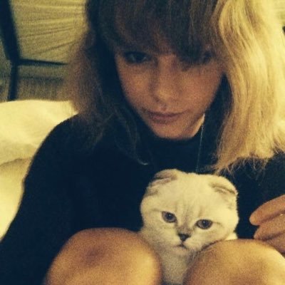 tattoolor's profile picture. 23, they/them, tumblr mutuals with taylor swift 🖤