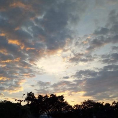 AdriRompeCulos's profile picture. hola X, soy macho 🇨🇴 de vergo grande, grueso, duro y lechero; me gusta montar🚵y amanzar perr4s tragonas soy muy caliente🥵🔥me gusta meterla a pelo 🐽💦😈