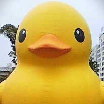 DangdaiDeco's profile picture. 【 投資で資産をまずは「ダブル」にすべく奮闘中のひよっこ投資家 】| 3人家族👨‍👩‍👦 | 長期投資 🇺🇸インデックスファンド&高配当株 | 🇯🇵🇺🇸個別株でスイングトレード| 旅行 ✈️ 大好き16カ国訪問 | 基本フォロバ 副業案内🙅‍♀️❌  #投資初心者と繋がりたい #旅行 #教育