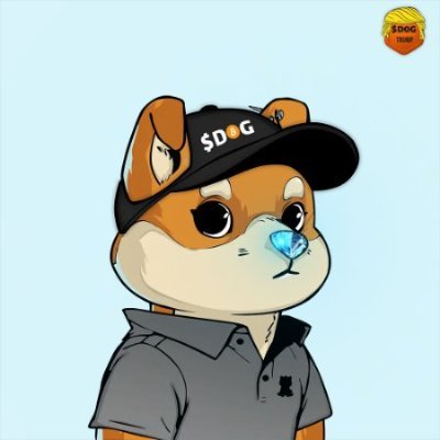 hodldogbtc's profile picture. 