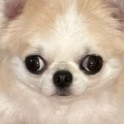 6zM8K2KP6BRurD3's profile picture. 成人済 🚬🍓