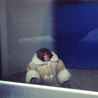 miiishelley's profile picture. IG: @miiishelley