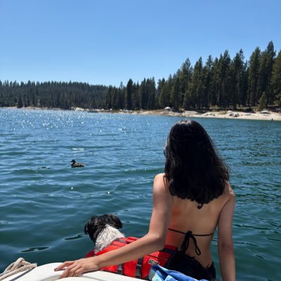 4sakenuser's profile picture. 02 INTP