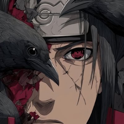 JElbouadnani's profile picture. 