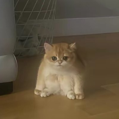 princessjuho's profile picture. 