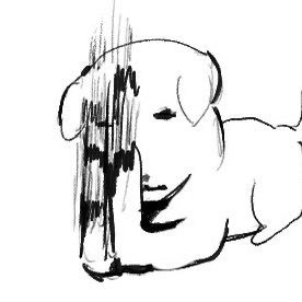 s3ibaal's profile picture. 씹론