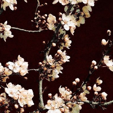 _luna_1996's profile picture. 20! #shtwt #edtwt Not recovery safe!! Hannibal x Marilyn Manson - my forever obsessions