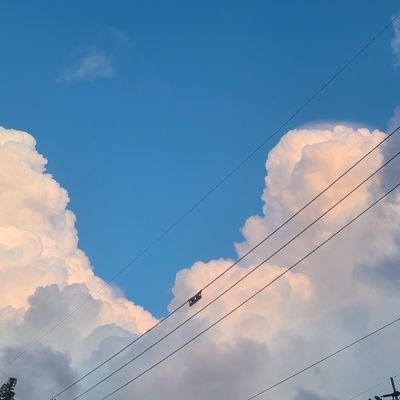 doho_5's profile picture. :)                                                                                                  🐾 🦊💕🍀🌟