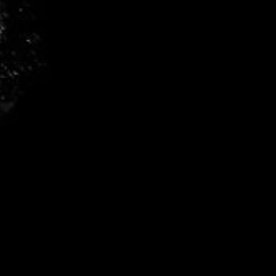 maskoffmarixyz's profile picture. 