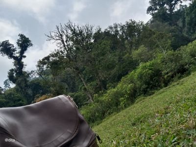 DitaDit37907338's profile picture. enzoykeun✨
sunda~