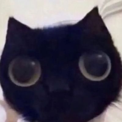 Cest_charmant_'s profile picture. 