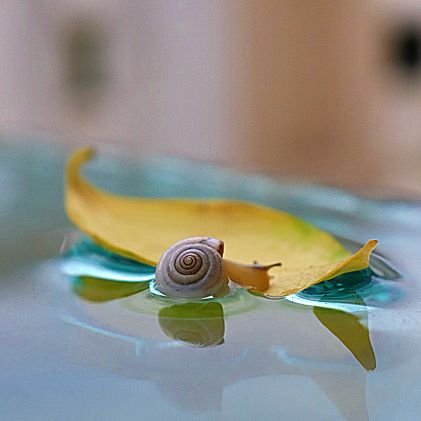 ChristinaA39295's profile picture. Photographer 📸, traveler🌏, booklover📚, mother💙, nature lover❤️ lawyer's wife