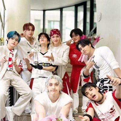 stray_1003's profile picture. 