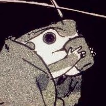 Esquizofraile's profile picture. Midwit, consecuentemente solitario.    ☧