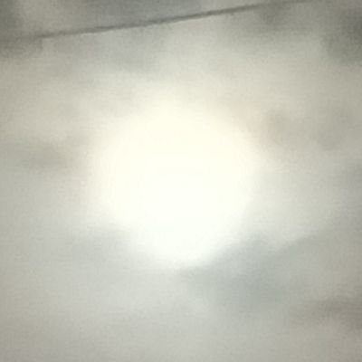 money67210's profile picture. 死了/還活著