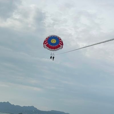 peacenowar1's profile picture. 