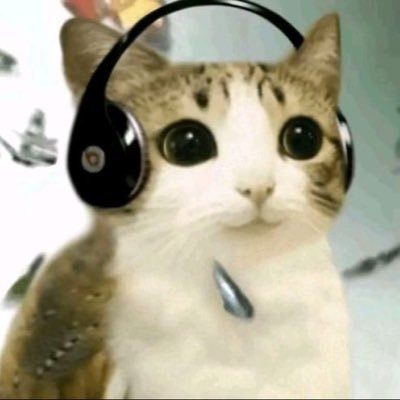 DruidMonkeyBTD_'s profile picture. blah blah monkey noises