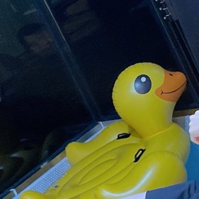 t91U8ByYtnt2bRa's profile picture. 🦊