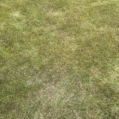 victory___5's profile picture. 