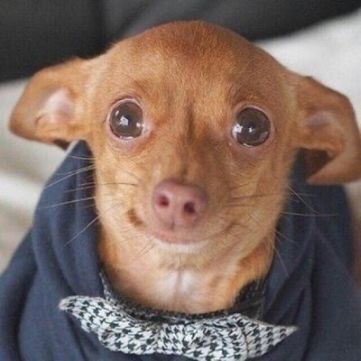 basket_ing2's profile picture. 정지트라우마걸림