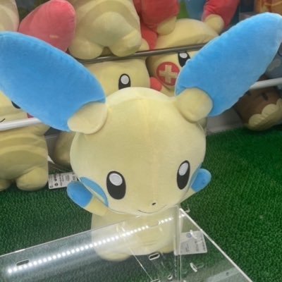 serafuanti's profile picture. ポケポケしてます@takaaa76 🔑@zllzvo