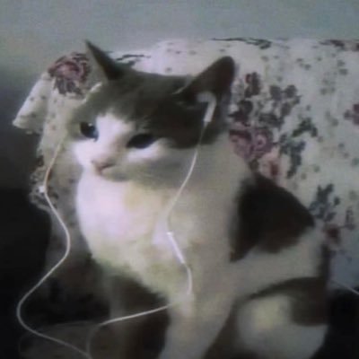 neptunaIia's profile picture. 