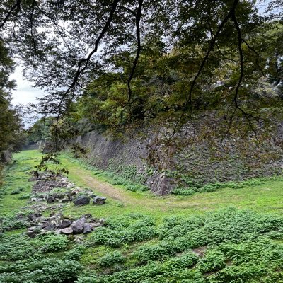 gyantyudakkyaku's profile picture. 自分のためにギャンブルやめます