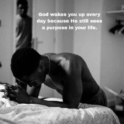 LuciaBartley's profile picture. R8PFXSNP