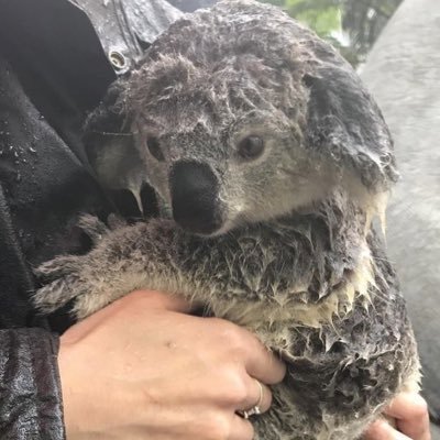 king_of_thing_'s profile picture. 이것저것