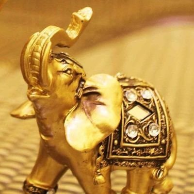 Jitendr07562166's profile picture. おはようございます。
毎日が少しでも特別な世界観関わる
1日になりますように🙏
♯BG