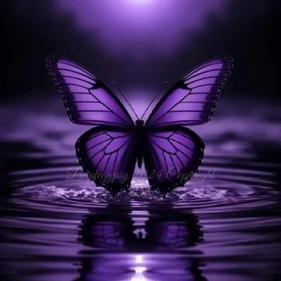 kk0jm's profile picture. 