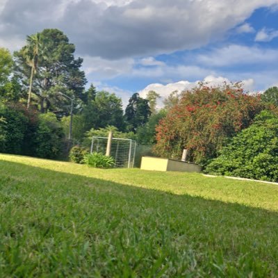 mperalta1979's profile picture. 