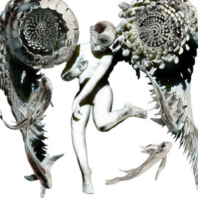 Satclvseer's profile picture. I’m caught in Forgo