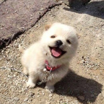 vvxvvnm's profile picture. ໒꒰ྀི ˶• ༝ •˶ ྀི১